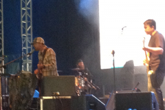 Grandaddy at Electric Picnic 2012