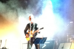 Richard Hawley at Electric Picnic 2012