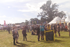 Sunny Afternoon at Electric Picnic 2013