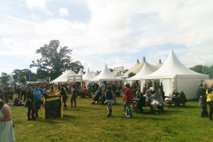 Sunny Afternoon at Electric Picnic 2013