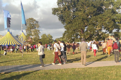 Sunny Afternoon at Electric Picnic 2013