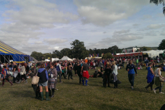 Sunny Afternoon at Electric Picnic 2013