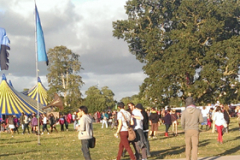 Sunny Afternoon at Electric Picnic 2013