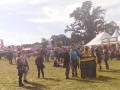 Sunday Afternoon at Electric Picnic 2013