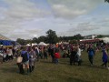 Sunny Afternoon at Electric Picnic 2013