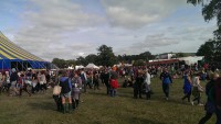 Sunny Afternoon at Electric Picnic 2013