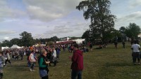 Sunny Afternoon at Electric Picnic 2013