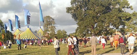 Sunny Afternoon at Electric Picnic 2013