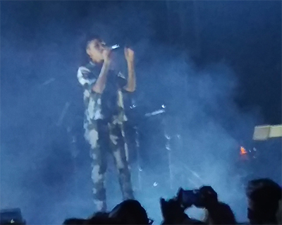 Electric Picnic 2015 FKA Twigs