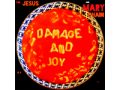 Jesus and Mary Chain - Damage and Joy