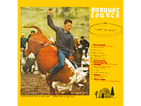 Parquet Courts - Light Up Gold