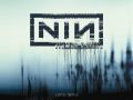 NIN with teeth